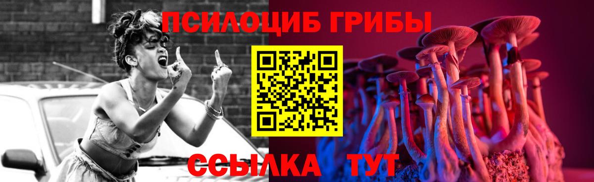 Котовск  Псилоцибиновые грибы мухоморы  закладка  Псилоцибиновые грибы прущие грибы  Вход с VPN 